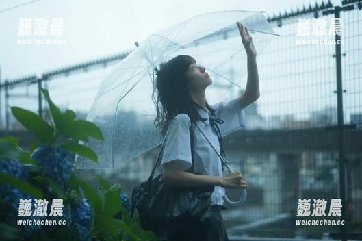 免费获取http冫丿丿51cg.fun苹果版，吃瓜资讯实时更新