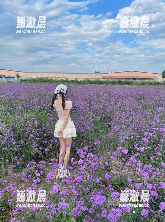 轻松获取http冫丿丿51cg.fun资源，安卓用户的吃瓜攻略来啦！