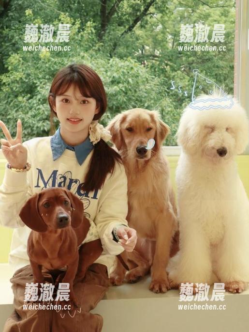 发掘“61吃瓜中心”官网在线，享受全新吃瓜体验，热点话题随时更新