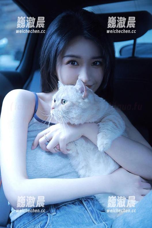 轻松收藏，畅游ichigua.fun吃瓜世界的传送门技巧大揭秘！