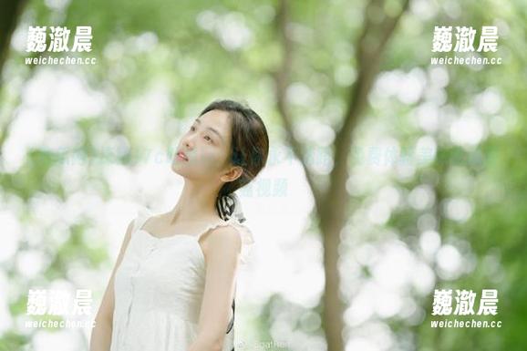 探秘17c吃瓜网：让你永不迷路，免费体验美味吃瓜蘑菇视频