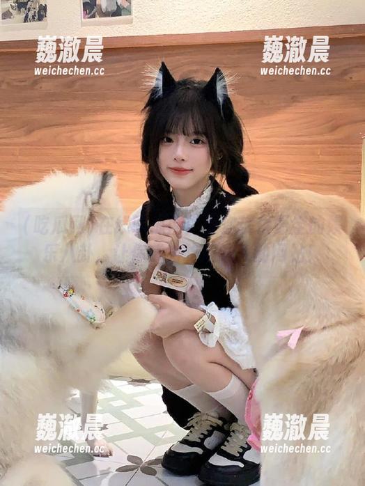 在线吃瓜网：为你提供最全的娱乐八卦，让你成为吃瓜达人的网站！
