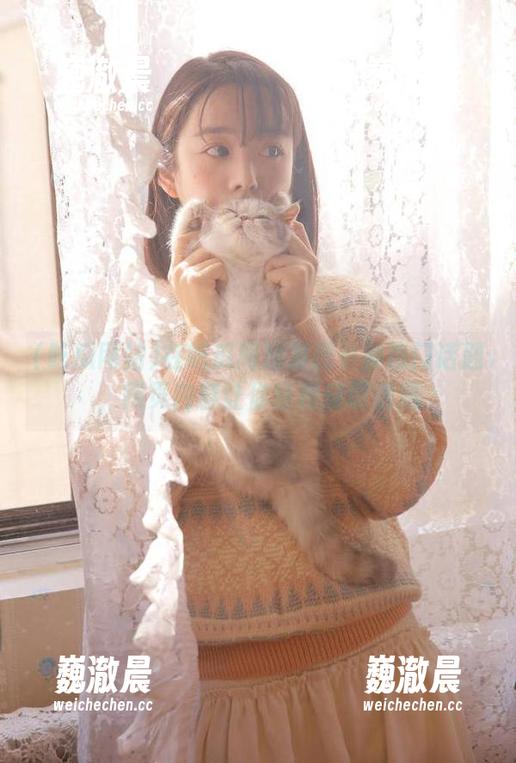 在吃瓜网站发现多种热门话题，网页内容让你轻松获取信息