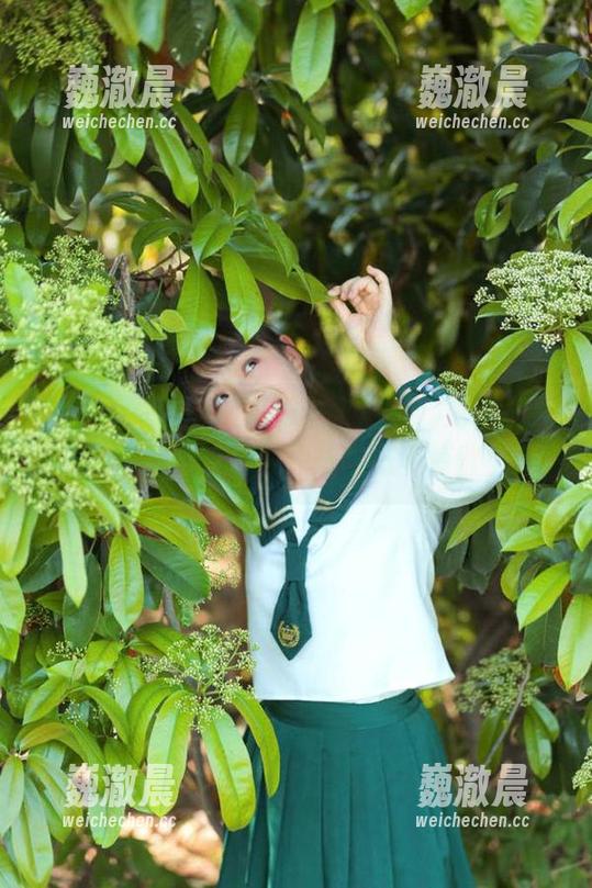 最新地址全解析，免费加入“黑料不打烊”，让吃瓜不停歇！