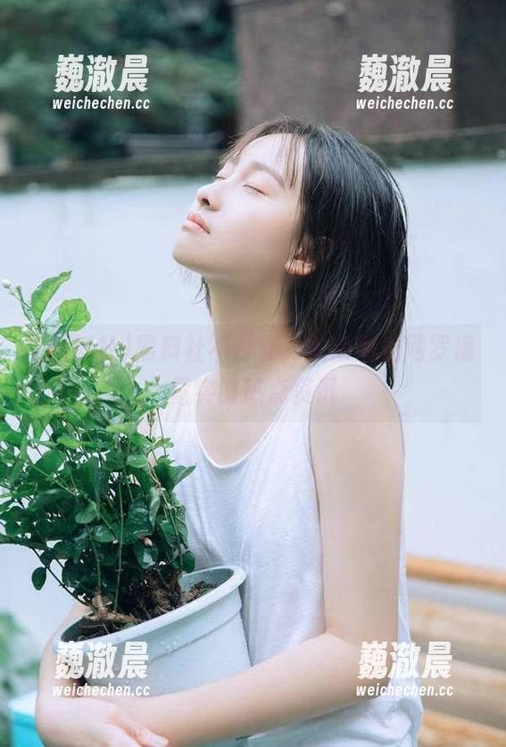 黑料社不打烊，吃瓜网址网罗海量实时热点资讯