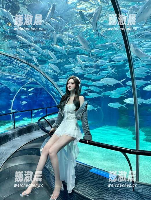 黑料社不打烊，传送门网站带你畅游娱乐圈新鲜事！