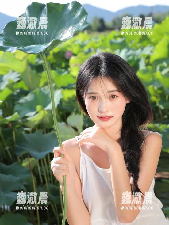 911黑料网iOS专版上线，轻松捕获娱乐黑料热点